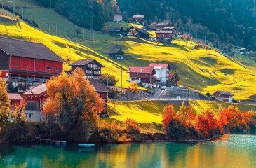 Enim Voluptate Animi Quis Non Qui Mollitia Commodi.